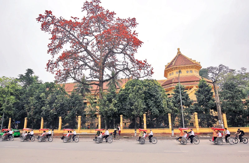Hà Nội, mùa hoa gạo tháng 3. (Ảnh Nam Nguyễn) 