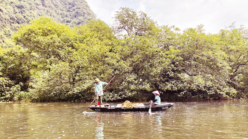 Những nhân viên thu gom rác thải tại quần thể Di sản văn hóa và thiên nhiên thế giới Danh thắng Tràng An. Ảnh trong bài: Huyền Nga
