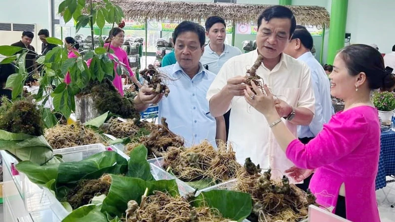 Lễ hội Sâm Ngọc Linh (Quảng Nam) được tổ chức nhằm giới thiệu, quảng bá về cây sâm Ngọc Linh. 