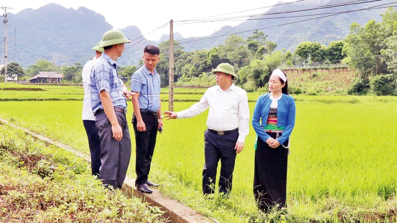 Lãnh đạo Ủy ban nhân dân tỉnh Hòa Bình và Ban Dân tộc kiểm tra hệ thống thủy lợi tại các xã đặc biệt khó khăn. 