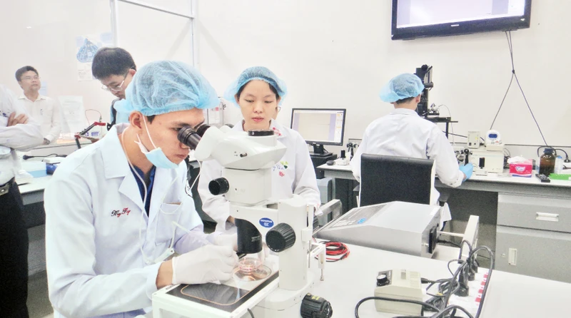 Hoạt động nghiên cứu khoa học tại Trường đại học Quốc tế, Đại học Quốc gia Thành phố Hồ Chí Minh. 