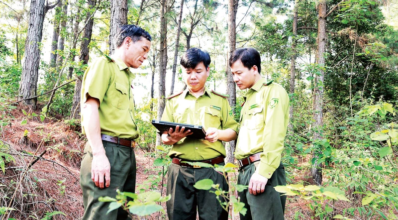 Cán bộ Hạt Kiểm lâm Phúc Yên sử dụng ảnh vệ tinh để quản lý rừng. 