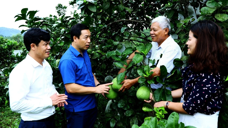 Lãnh đạo Thị ủy Thái Hòa cùng lãnh đạo phường Long Sơn thăm mô hình trang trại của ông Lô Văn Lợi, phường Long Sơn, thị xã Thái Hòa, tỉnh Nghệ An. (Ảnh NGUYÊN NGUYÊN)