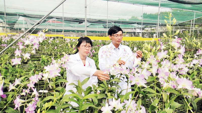 Định hình hệ sinh thái nông nghiệp bền vững 