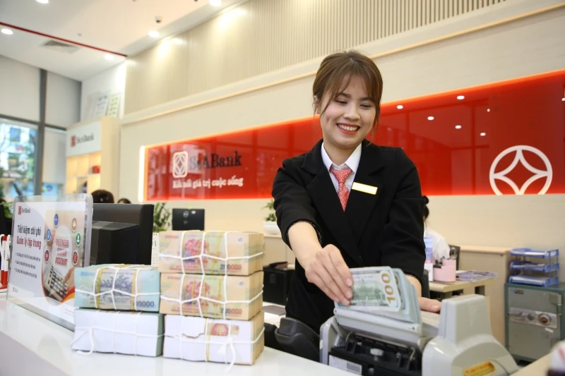 Tổng mức đầu tư IFC và 5 quỹ đầu tư dành cho SeABank bao gồm cả tài trợ thương mại đạt gần 400 triệu USD.