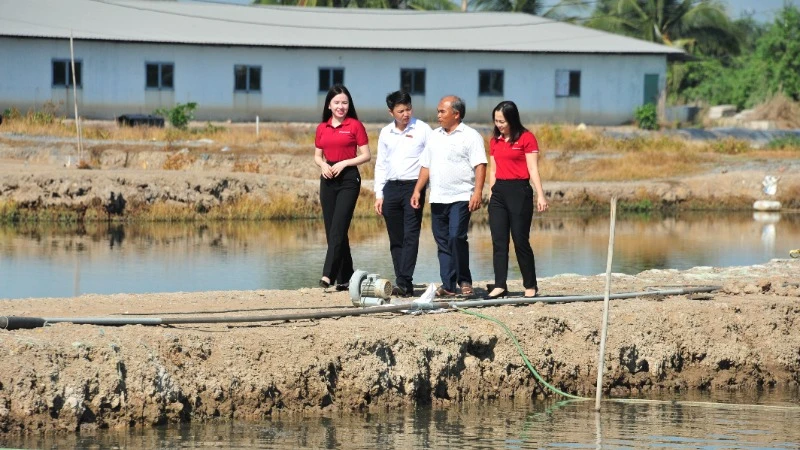 Agribank đã đăng ký triển khai chương trình tín dụng ưu đãi lĩnh vực nông, lâm, thủy sản quy mô 20.000 tỷ đồng.
