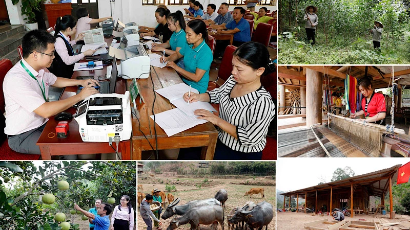 Nguồn vốn chính sách giúp người dân Nghệ An phát triển kinh tế. 