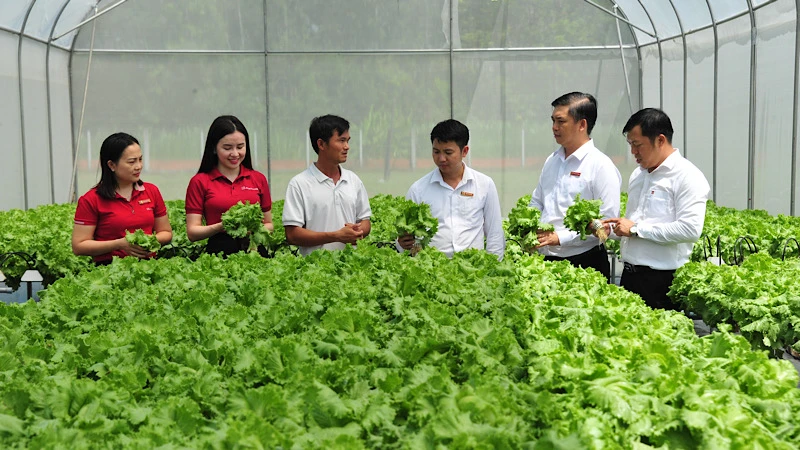 Agribank nâng quy mô gói tín dụng cho vay nông, lâm, thủy sản lên 20.000 tỷ đồng. 
