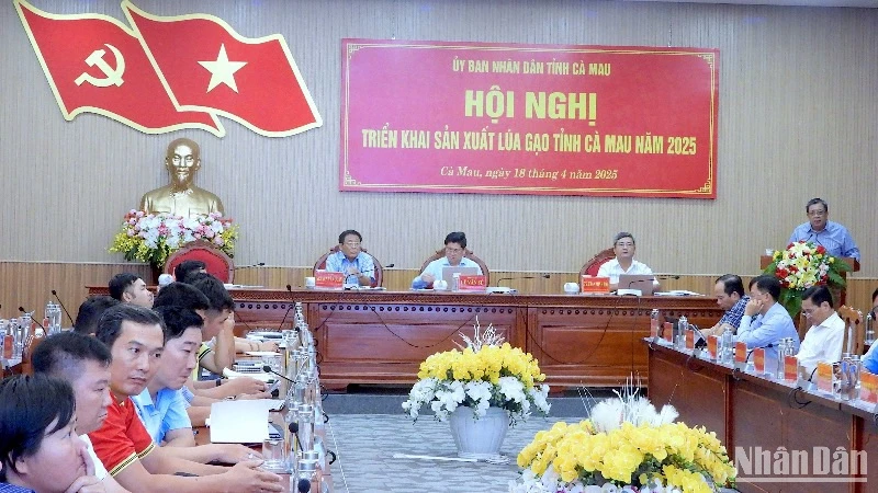 Hội nghị sản xuất lúa gạo tại Cà Mau chiều 18/4.