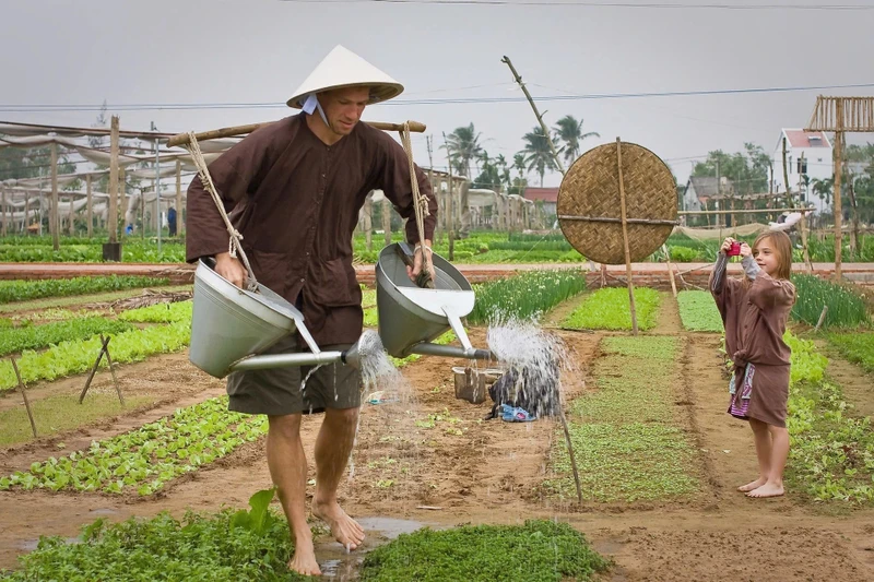 "Một ngày làm nông dân” của du khách tại làng rau Trà Quế, “Làng du lịch tốt nhất thế giới” được Tổ chức Du lịch Liên hợp quốc vinh danh năm 2024. Ảnh: Nam Thịnh