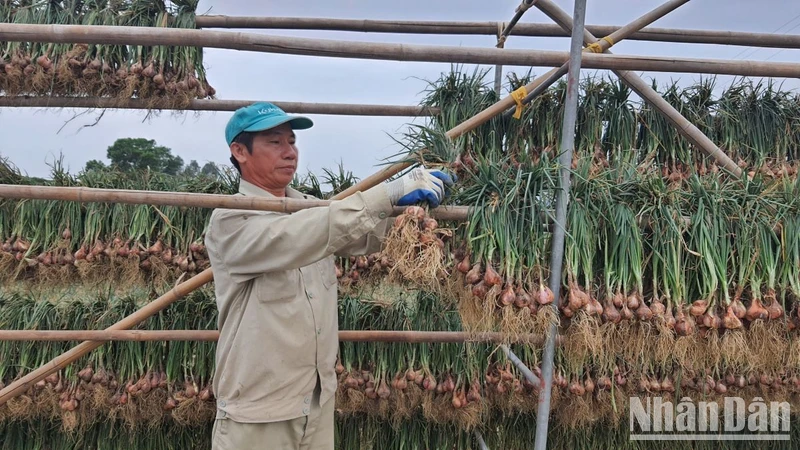 Theo thống kê, các tháng đầu năm 2023, sức mua của thị trường đang có xu hướng giảm.