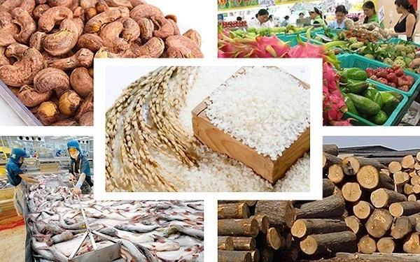 Bức tranh xuất khẩu nông sản nửa đầu năm đã có những điểm sáng