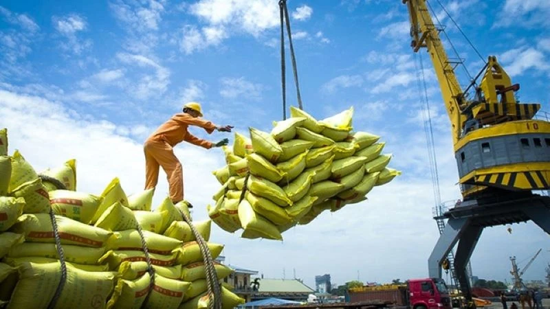 Gạo và hạt điều là hai sản phẩm tăng cả khối lượng lẫn giá trị xuất khẩu trong 6 tháng đầu năm.
