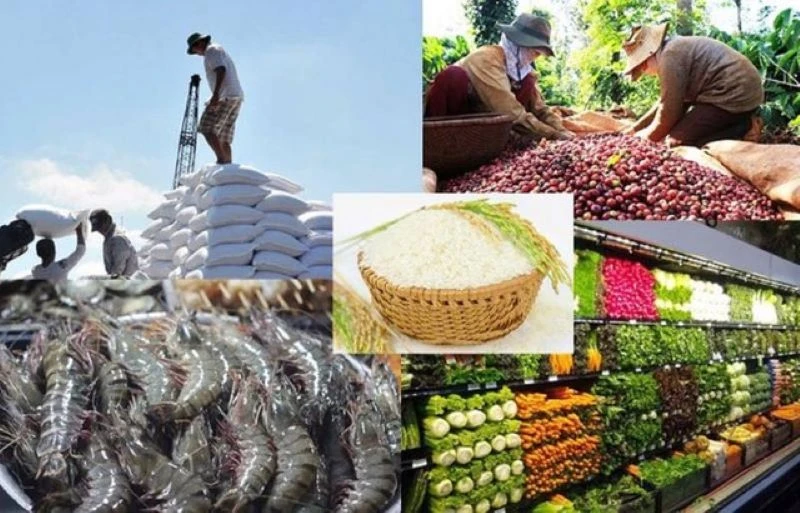 Kim ngạch xuất khẩu nông lâm thủy sản tháng 7/2023 ước đạt 4,62 tỷ USD, tăng 5,3% so với cùng kỳ năm ngoái.