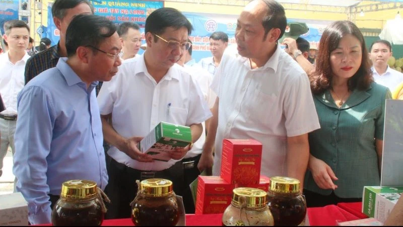 Tuần hàng lần này có hơn 40 doanh nghiệp, chủ thể, hợp tác xã đến từ Hà Nội và 18 tỉnh, thành phố khác.