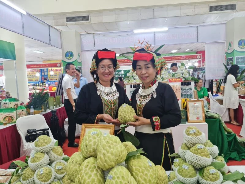 Gian hàng quảng bá, giới thiệu na Chi Lăng - sản vật bậc nhất xứ Lạng từ vách núi đá vôi và các nông đặc sản, sản phẩm OCOP tỉnh Lạng Sơn.