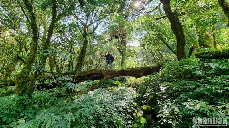 Loại hình du lịch khám phá, mạo hiểm (du lịch trekking) không còn xa lạ với nhiều người, nhất là với giới trẻ hiện nay.