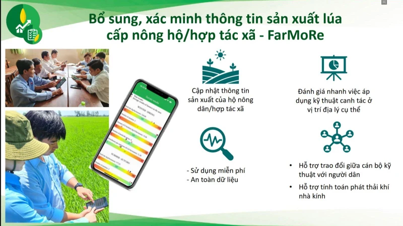Hệ thống theo dõi và báo cáo sản xuất lúa RiceMore là nền tảng tham chiếu địa lý, cho phép chuẩn hóa và ghi lại dữ liệu hoạt động sản xuất lúa theo thời gian.