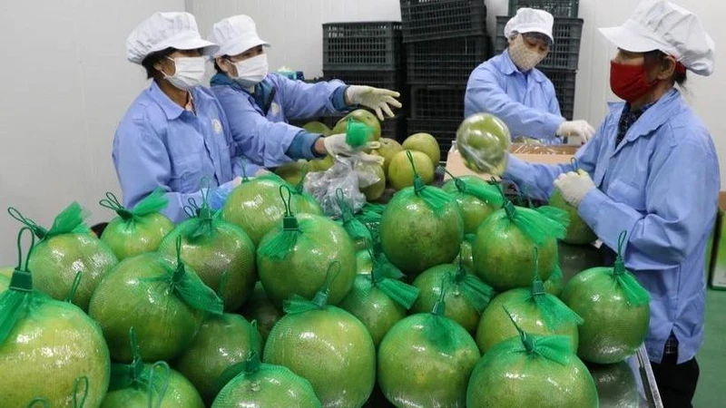 Anh được xem là thị trường còn nhiều dư địa cho các doanh nghiệp Việt Nam mở rộng thị phần.