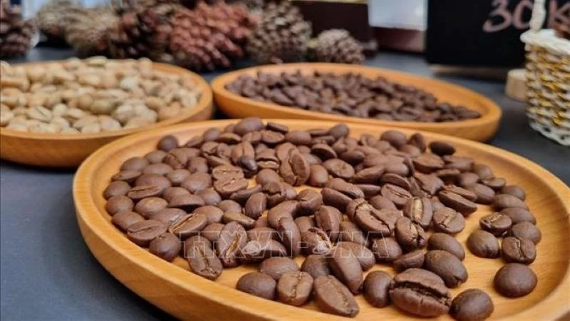 Hợp tác xã cà-phê sạch Măng Đen huyện Kon Plông, tỉnh Kon Tum tạo ra các sản phẩm cà-phê chất lượng cao. (Ảnh: DƯ TOÁN/TTXVN)
