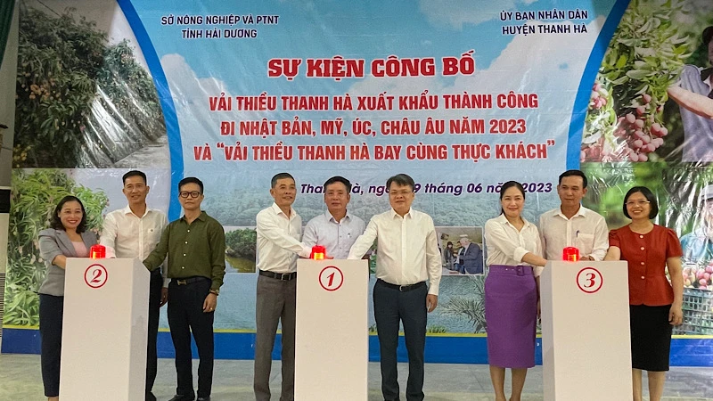 Các đại biểu bấm nút xuất khẩu vải thiều Thanh Hà đi các nước: Nhật Bản, Mỹ, Australia, châu Âu.