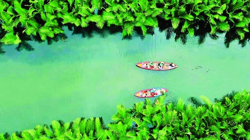 Rừng dừa nước Cà Ninh - Điểm đến lý tưởng cho du khách tham quan, trải nghiệm.