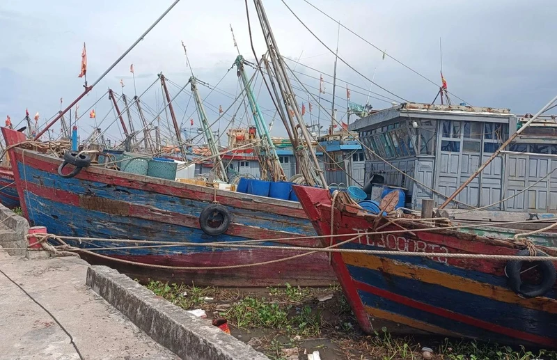 Nhiều tàu, thuyền về tránh trú bão tại cảng cá Tân Sơn, huyện Thái Thụy (tỉnh Thái Bình).