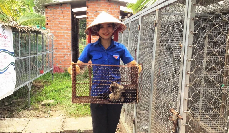 Phan Lê Thúy Vi khoe cặp chồn hương sinh sản. 