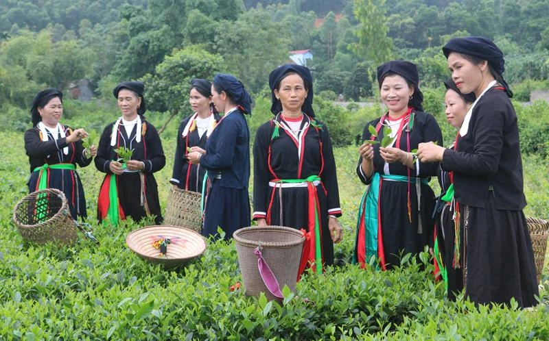 Trong năm 2022, tỉnh Thái Nguyên đầu tư hơn 287 tỷ đồng xây dựng hạ tầng và hỗ trợ phát triển sản xuất.