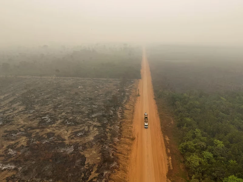 Hình ảnh chụp bằng máy bay không người lái cho thấy cảnh khói, cháy rừng Amazon ở Labrea, bang Amazonas, Brazil. Ảnh: REUTERS