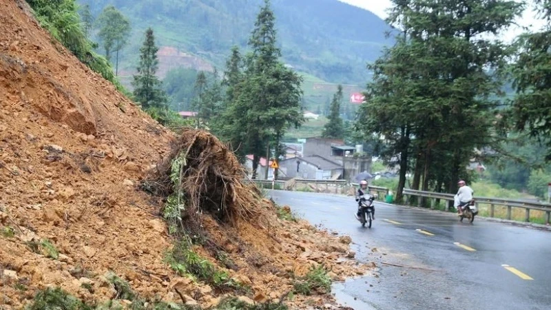 (Ảnh minh họa: TTXVN)