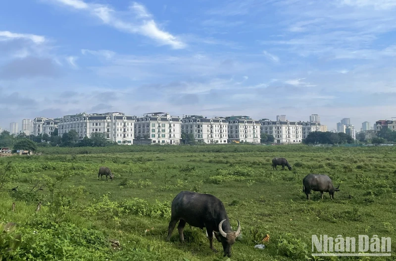 Dự báo khu vực Hà Nội ngày nắng, có nơi nắng nóng. (Ảnh minh họa: Đ.T)