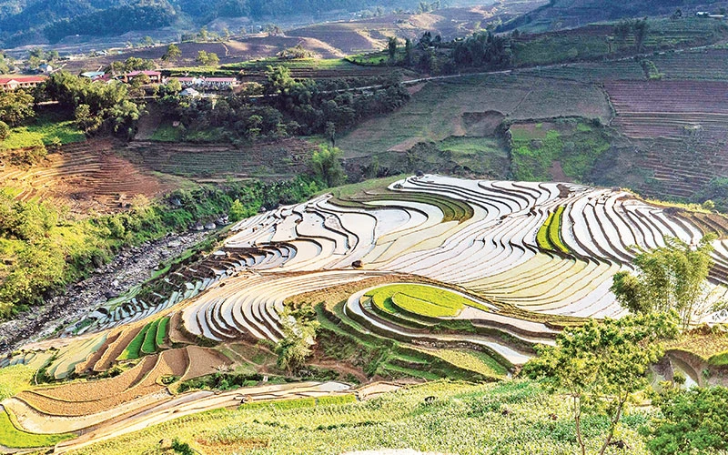Ruộng bậc thang mùa đổ ải 