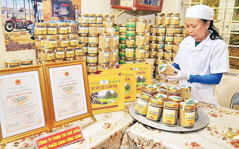 Sản phẩm ruốc cá Ninh Bình đạt chứng nhận OCOP 4 sao. (Ảnh LÊ HỒNG)