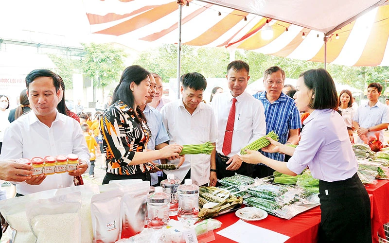 Các phiên chợ an toàn do Hội Nông dân tỉnh tổ chức là một kênh bán hàng uy tín được người dân lựa chọn.
