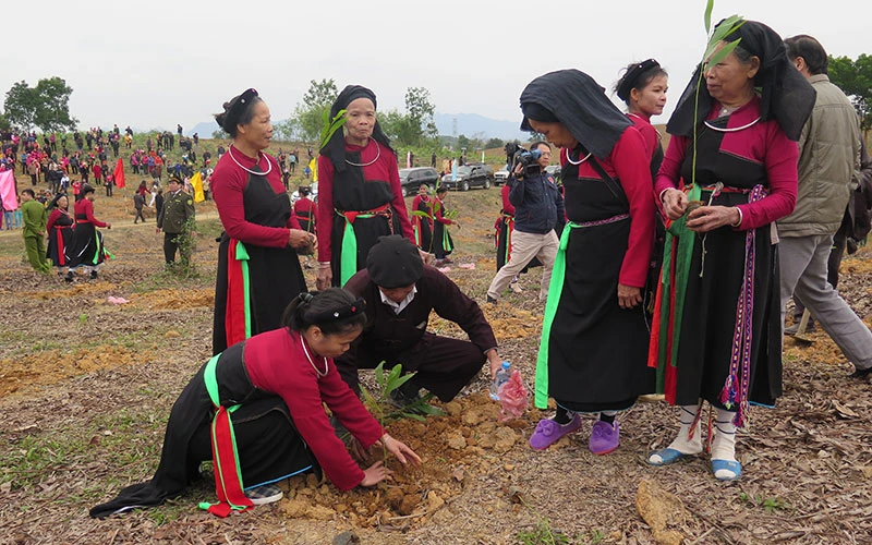 Nhân dân các dân tộc tỉnh Tuyên Quang tích cực tham gia phong trào trồng cây, gây rừng.