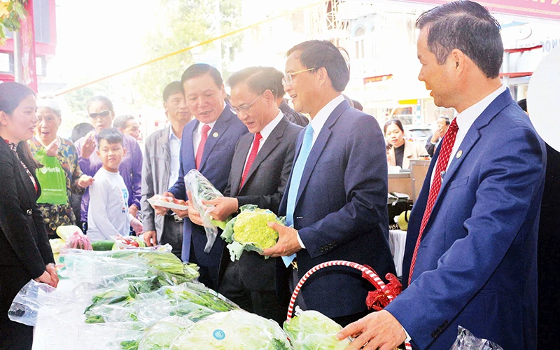 Các đại biểu tham quan gian hàng trưng bày sản phẩm rau an toàn tại hội nghị Xúc tiến đầu tư của Liên minh Hợp tác xã.