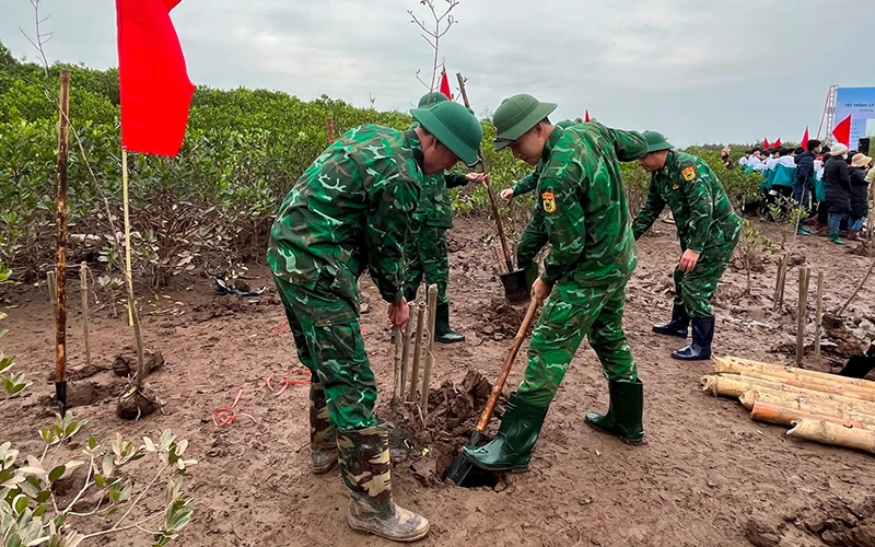 Bộ đội tham gia trồng cây tại Khu Bảo tồn thiên nhiên đất ngập nước Thái Thụy (tỉnh Thái Bình). 