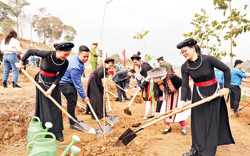 Các địa phương trong tỉnh Tuyên Quang hưởng ứng Tết trồng cây Xuân Ất Tỵ 2025.