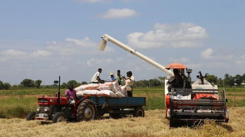 ADB hỗ trợ nông dân cải thiện sinh kế. (Ảnh ADB.ORG)