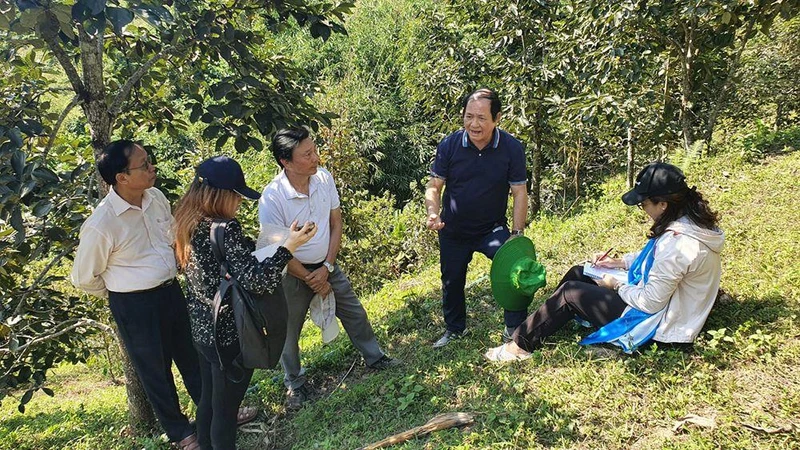 Kiểm tra mô hình thâm canh cây hồng không hạt tại huyện Ba Bể. (Ảnh: ANH THÚY)