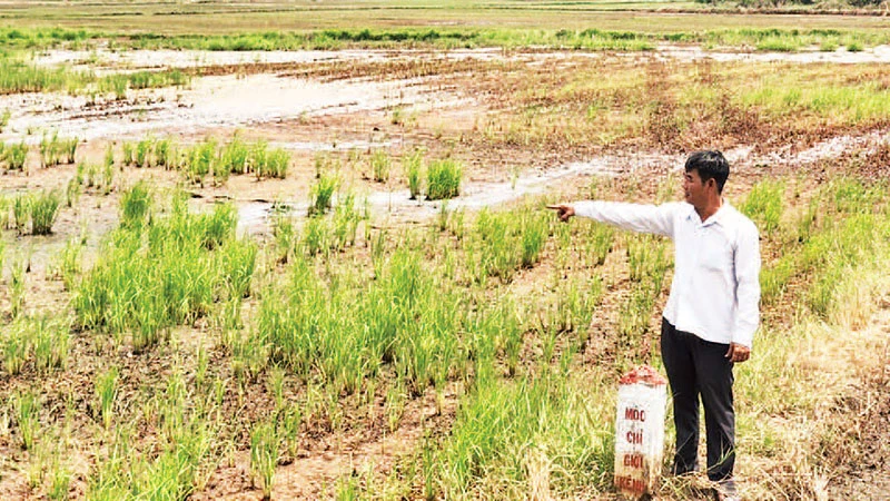 Một hộ dân ở huyện Hóc Môn bàn giao đất nông nghiệp của gia đình nằm trong dự án vành đai 3 Thành phố Hồ Chí Minh.