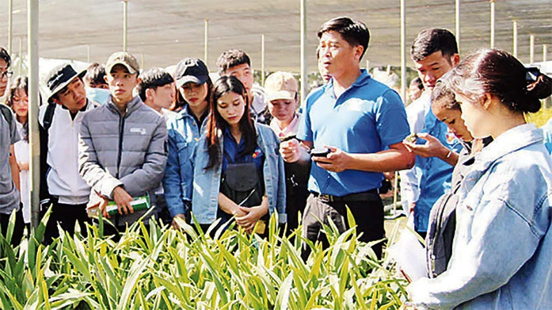 Thanh niên các dân tộc tỉnh Lâm Đồng tham gia chương trình giao lưu kết nối khởi nghiệp với doanh nghiệp địa phương.