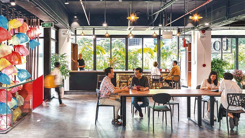 Không gian sáng tạo của Toong - mô hình không gian làm việc chung chuyên nghiệp tại Hà Nội.