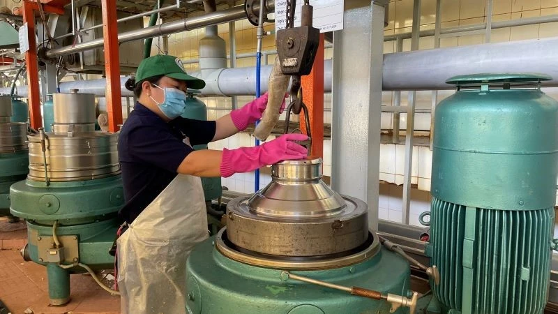 Công nhân chế biến cao-su la-tex tại Công ty Cổ phần cao su Tân Biên. 