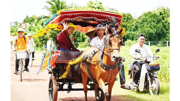 Khám phá các vườn cây trái tại huyện Củ Chi.