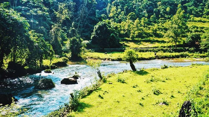 Một khúc sông Trà Lĩnh.