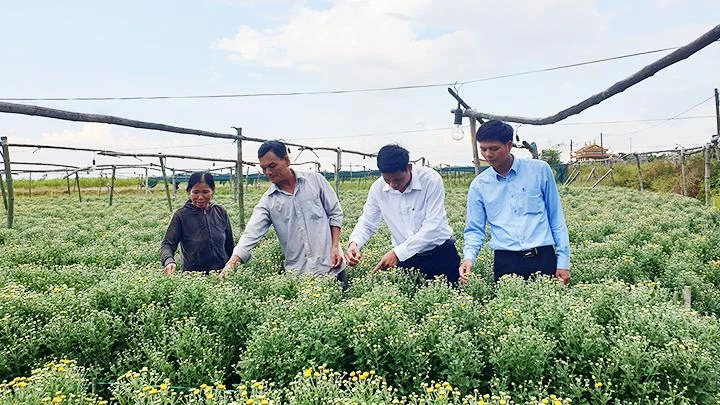 Cán bộ xã đồng hành với người dân trong sản xuất.