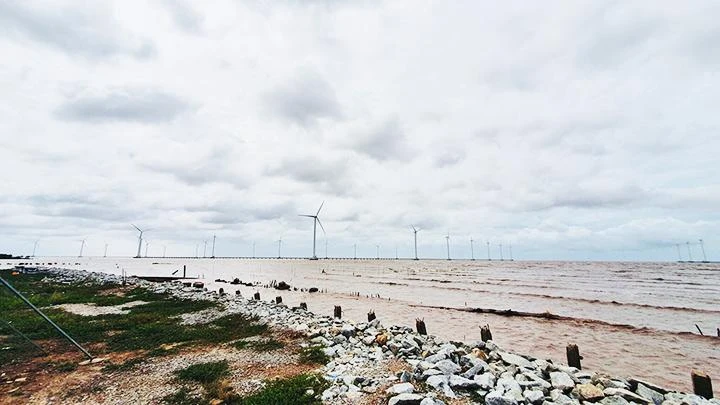 Vi vu giữa cánh đồng điện gió