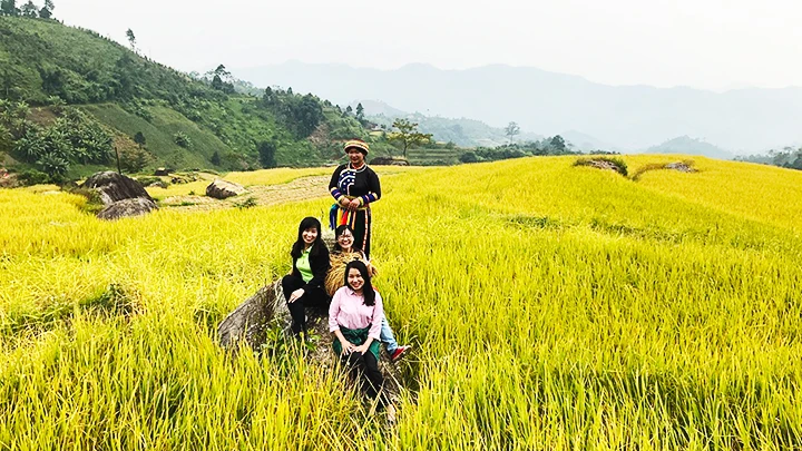 Hương nếp Phiêng Phàng